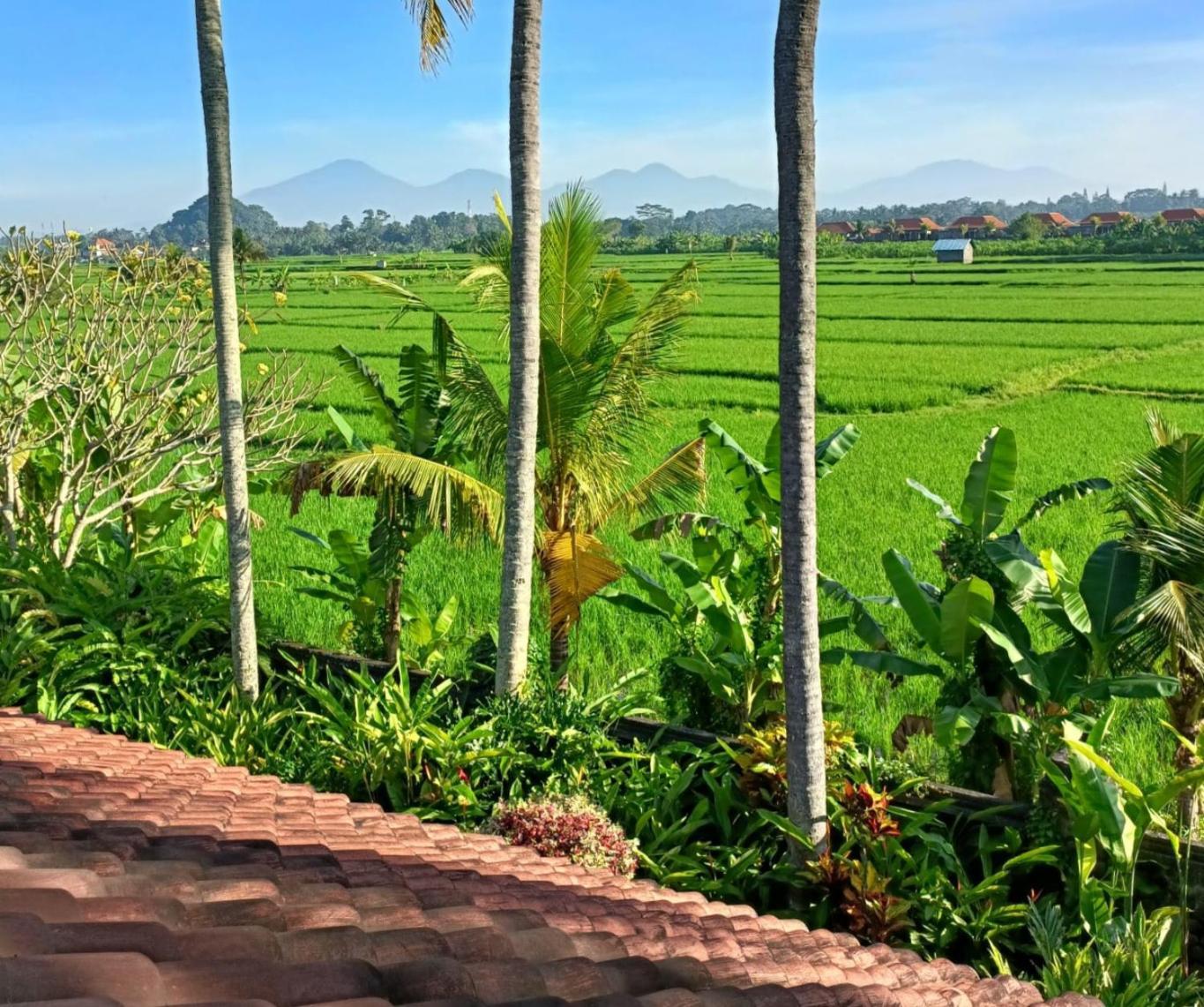 Runa House Of Design Ubud Dış mekan fotoğraf