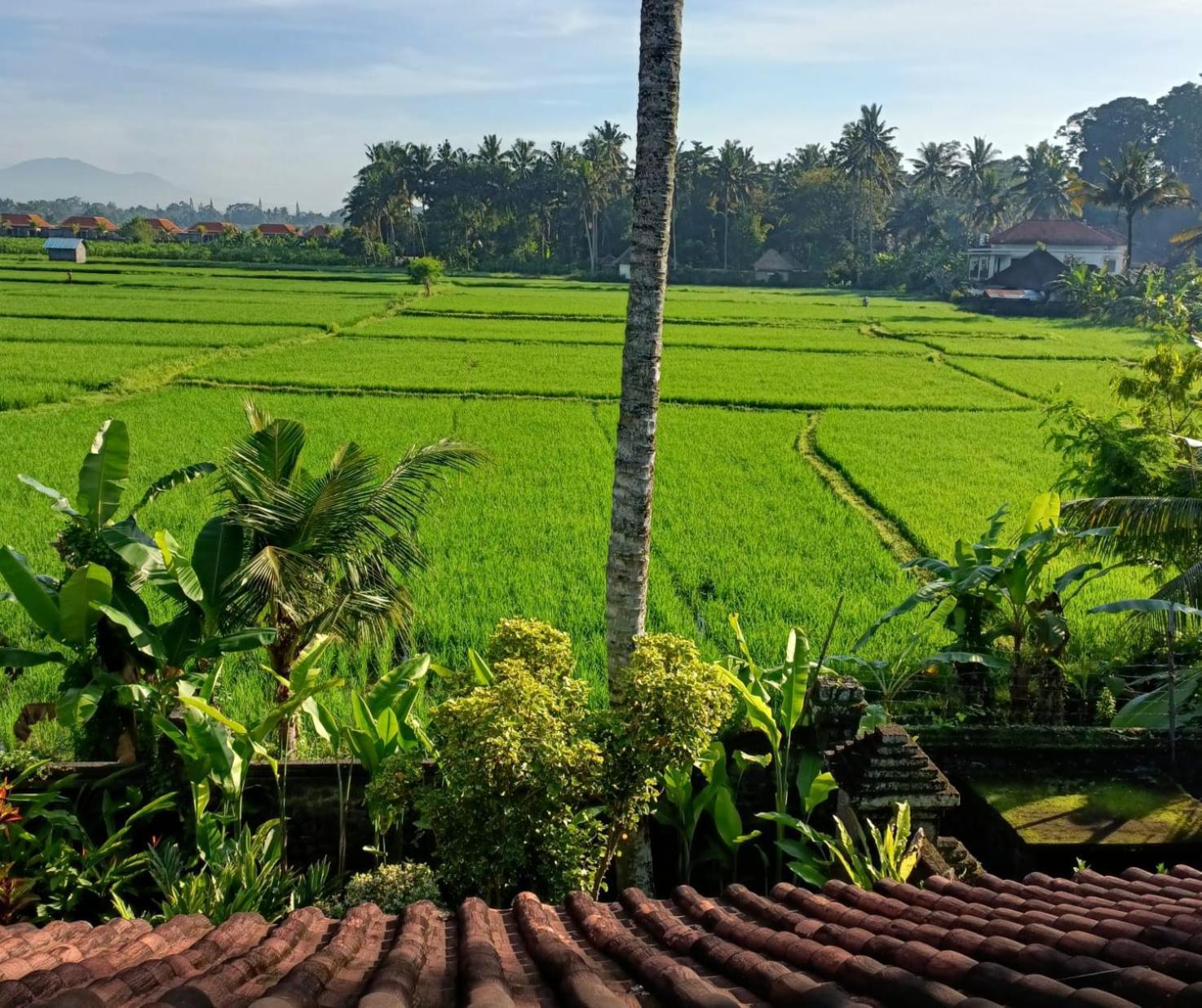 Runa House Of Design Ubud Dış mekan fotoğraf